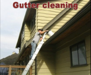 Gutter Cleaning Coquitlam