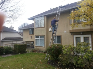 Gutter Cleaning in Metro Vancouver